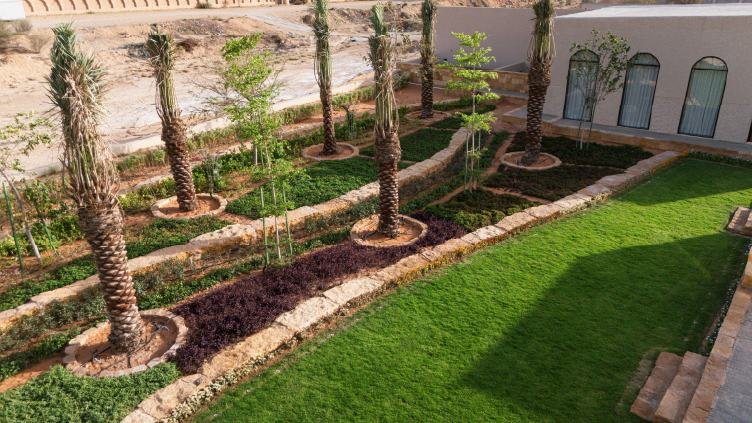 Lawn care beneath palm trees