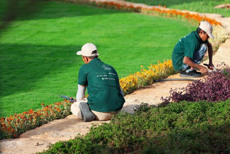 Team planting a flower border